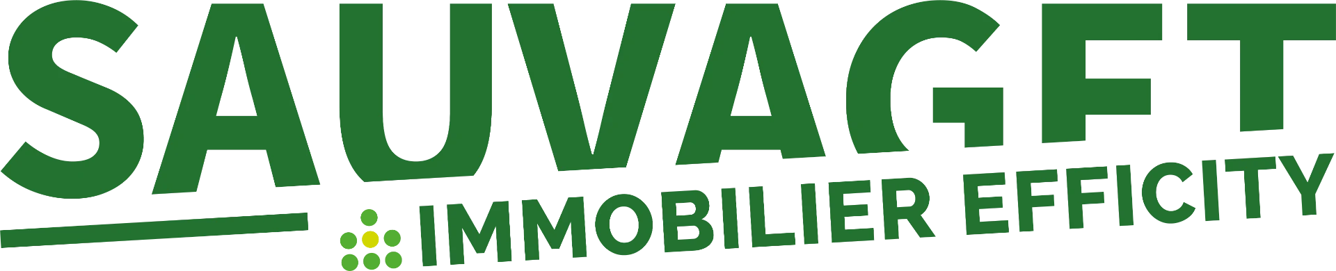 Sauvaget Immobilier Efficity