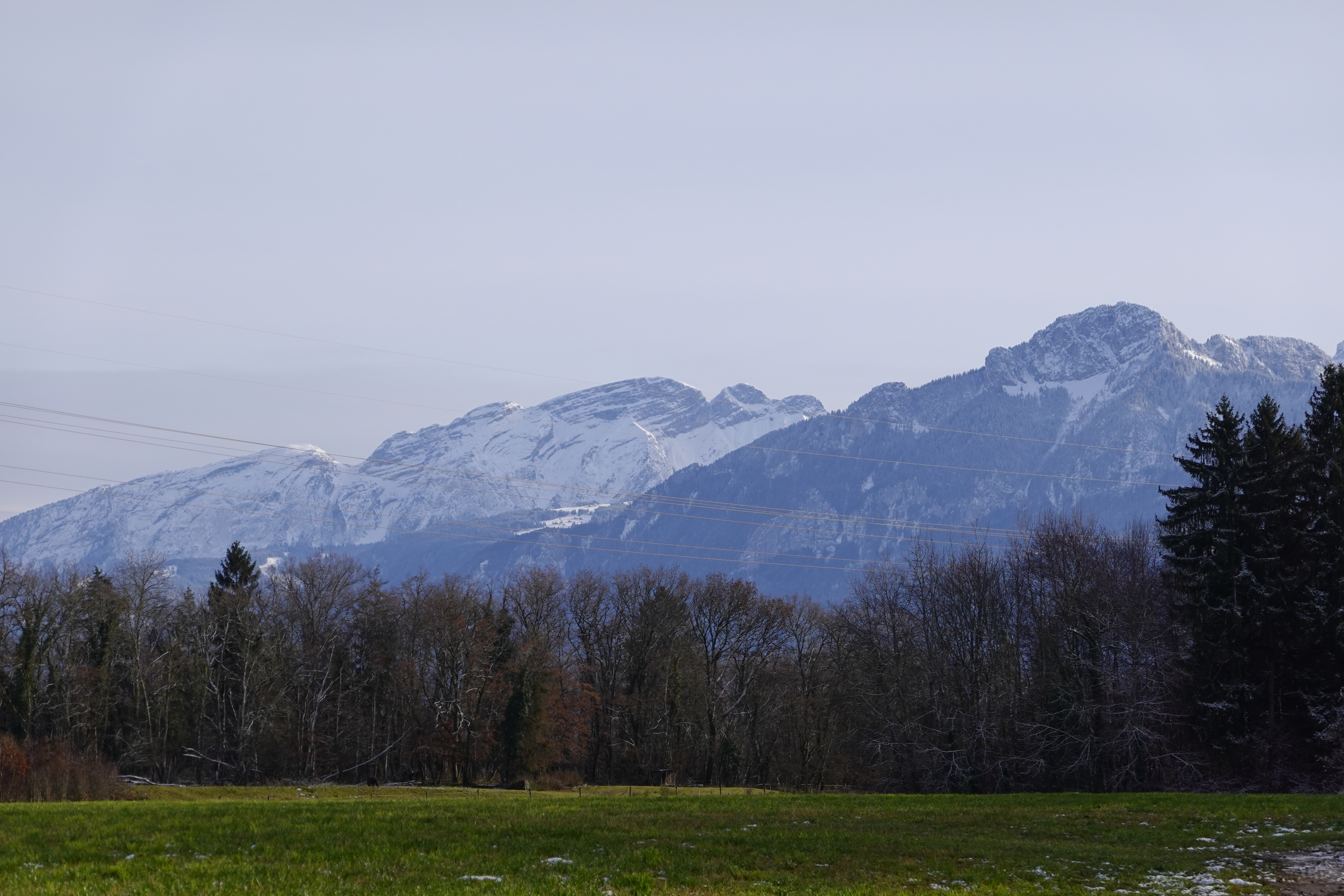 Prix de l'immobilier à Reignier-Ésery en 2026